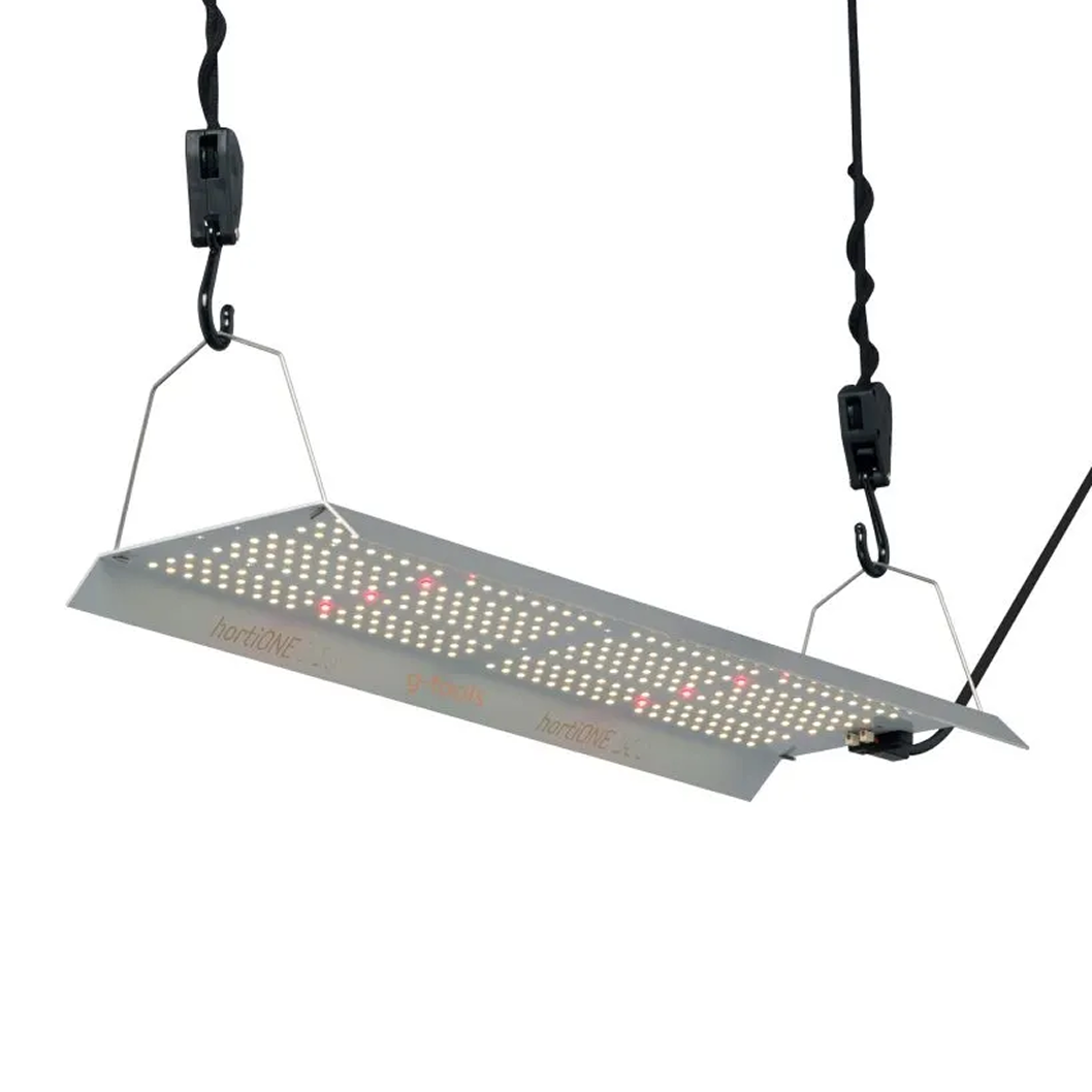 150 Watt Hortione 420